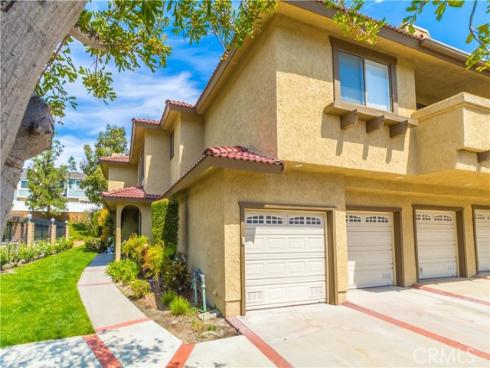 25261 Tanoak