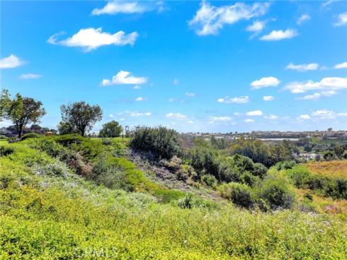 21095 Skylark Drive, Lake Forest, CA