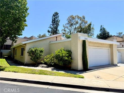 22442 Aliso Park Drive