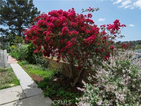 28242 Elmwood , Mission Viejo, CA