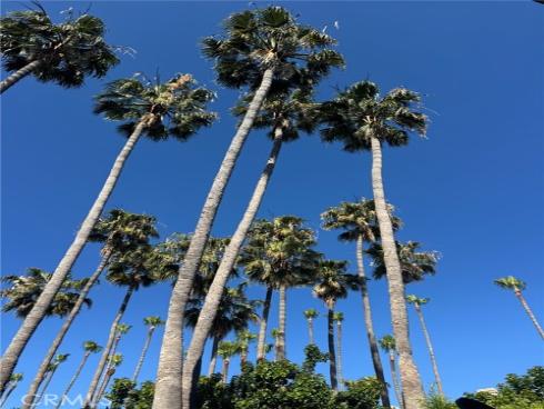 51 Seabrook Cove , Newport Beach, CA