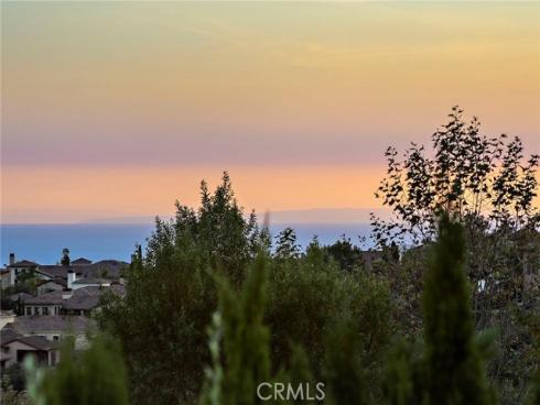 6 Canyon Peak , Newport Coast, CA
