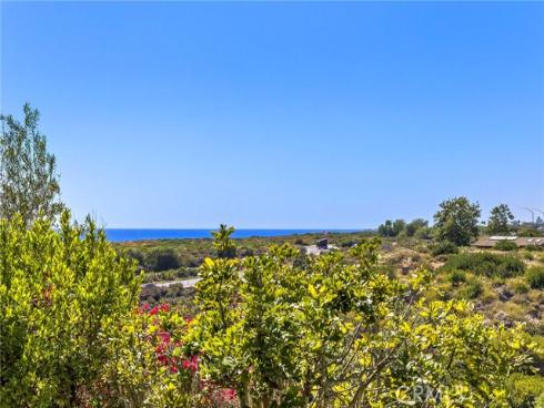 28 Sandy Cv , Newport Coast, CA