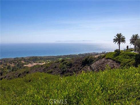 23 Pelican Vista , Newport Coast, CA