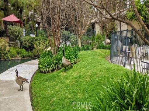 4900 E Chapman 90 Avenue, Orange, CA