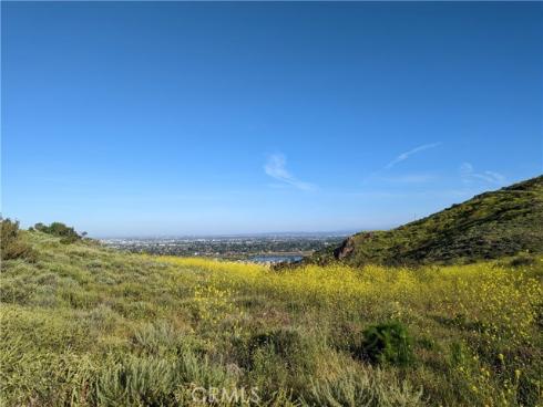 5733 E Stillwater 2 Avenue, Orange, CA