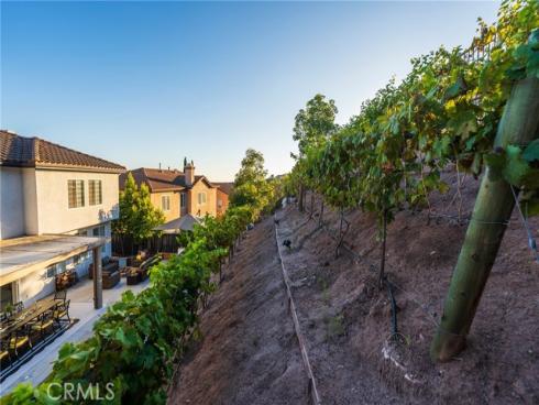 6981 E Magdalena Drive, Orange, CA