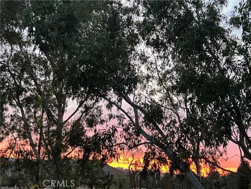 8215 E White Oak Ridge 33 , Orange, CA