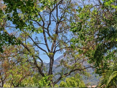 237  Montana del Lago Drive  , Rancho Santa Margarita, CA