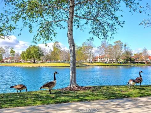 23 Paseo Estrellas , Rancho Santa Margarita, CA