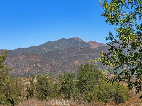 27 Lobelia , Rancho Santa Margarita, CA