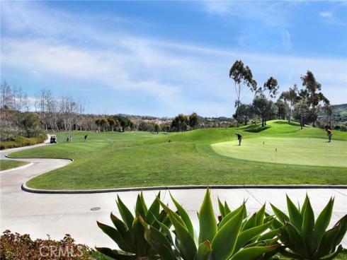 35  Calle Careyes  , San Clemente, CA