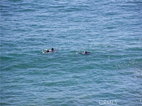 420 Monterey R17 Lane, San Clemente, CA