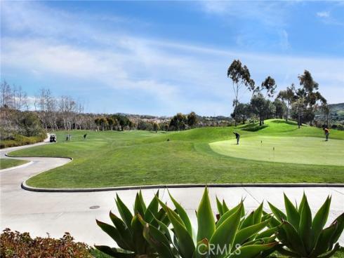 2  Paseo Del Rey  , San Clemente, CA