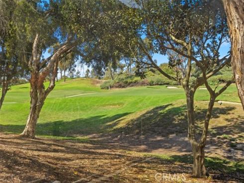 48 Paseo Verde , San Clemente, CA