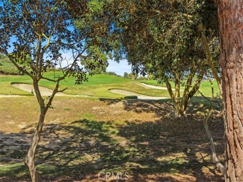 48 Paseo Verde , San Clemente, CA