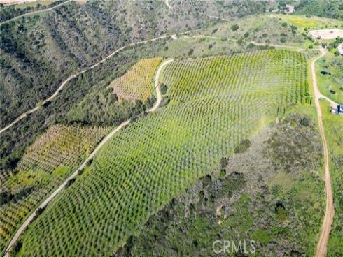 39250  Ortega Highway  , San Juan Capistrano, CA