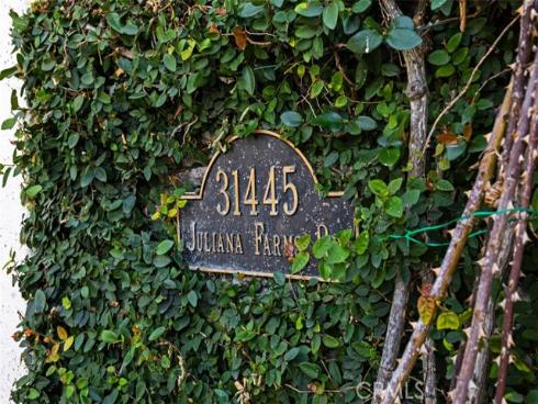 31445  Juliana Farms Road  , San Juan Capistrano, CA