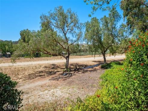 31052 Corte Aurora , San Juan Capistrano, CA