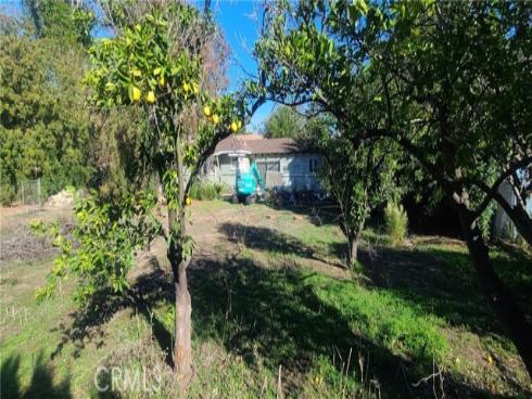 19542 Marcy Drive, Santa Ana, CA
