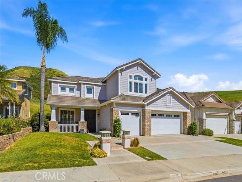 21232 Meander