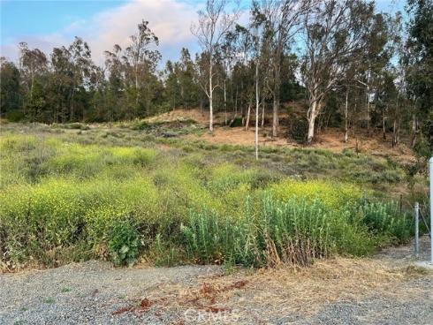 2564 Newman Avenue, Tustin, CA