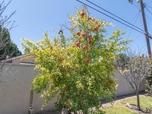 6072  Chinook Ave.  , Westminster, CA