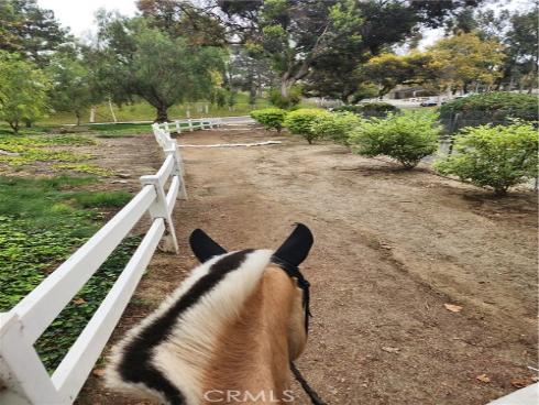 5821 Blueberry Street, Yorba Linda, CA