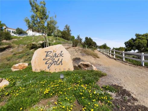 17206  Coriander   Court, Yorba Linda, CA