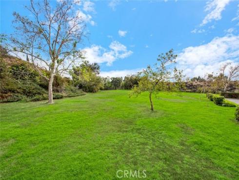 19138  Alamo  158  Lane, Yorba Linda, CA