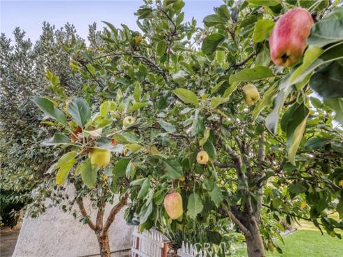 4321 Aspenglow Circle, Yorba Linda, CA